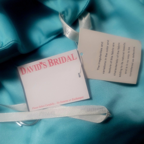 David's Bridal Gown Size 14 Color Pool - Picture 3 of 7